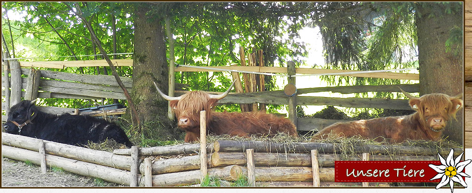 05_Unsere-Tiere.jpg