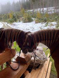 img-20201017-wa0002.jpg