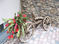 Ausschnitt der Terrasse