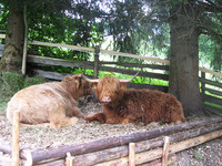 Unsere Tiere