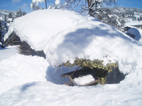 Vogelhaus im Schnee