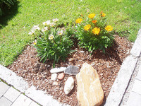 Blütenpracht im Garten