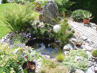 Mini-Teich