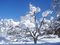 winterliche Märchenlandschaft